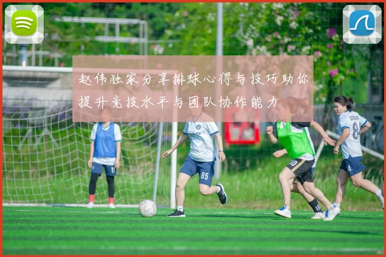 赵伟独家分享排球心得与技巧助你提升竞技水平与团队协作能力