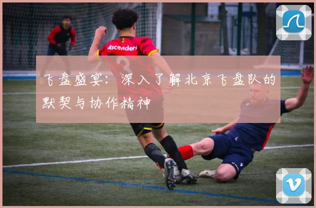 飞盘盛宴：深入了解北京飞盘队的默契与协作精神