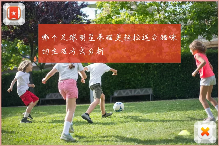 哪个足球明星养猫更轻松适合猫咪的生活方式分析