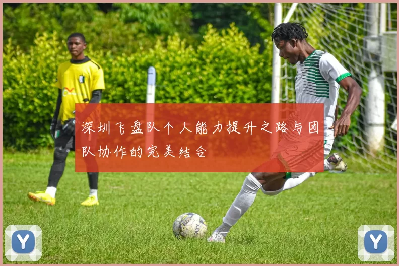 深圳飞盘队个人能力提升之路与团队协作的完美结合