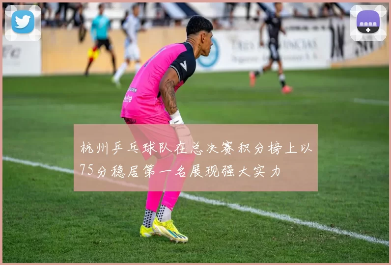 杭州乒乓球队在总决赛积分榜上以75分稳居第一名展现强大实力