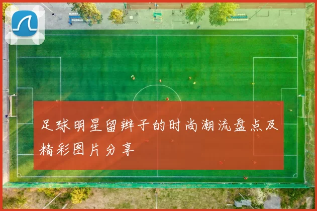 足球明星留辫子的时尚潮流盘点及精彩图片分享