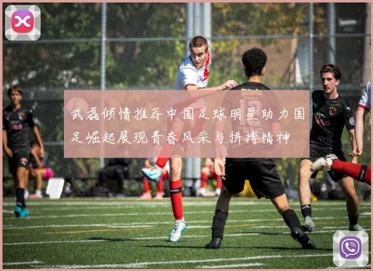 武磊倾情推荐中国足球明星助力国足崛起展现青春风采与拼搏精神