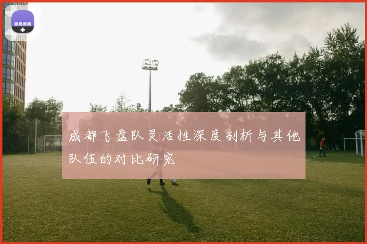 成都飞盘队灵活性深度剖析与其他队伍的对比研究