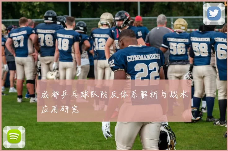 成都乒乓球队防反体系解析与战术应用研究