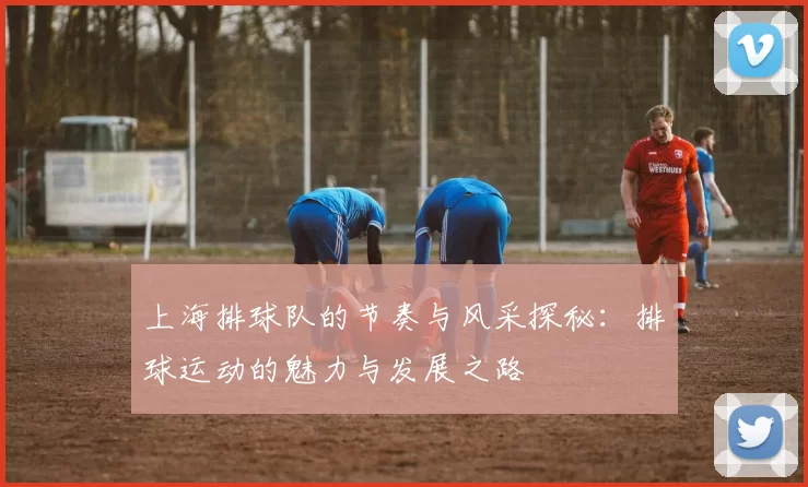 上海排球队的节奏与风采探秘：排球运动的魅力与发展之路