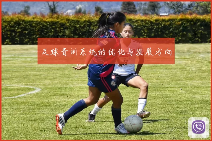 足球青训系统的优化与发展方向